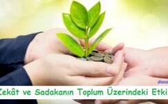 Zekât ve Sadakanın Toplum Üzerindeki Etkileri